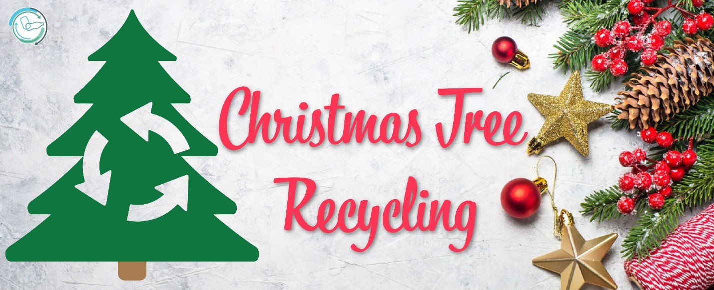 Tis The Season To Treecycle Official Website Of The City Of Tucson